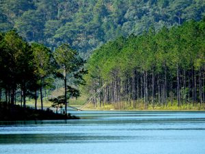 Nước hồ Tuyền Lâm xanh như màu ngọc bích giúp bạn có được cảm giác thư thái, dễ chịu.
