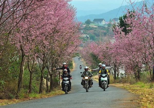 di chuyển từ Đà Lạt đến Nha Trang bằng xe máy là sự lựa chọn hoàn hảo